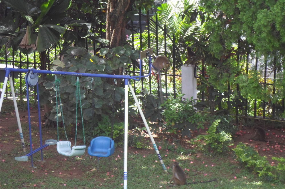 Kandy Green View Bungalow Екстер'єр фото